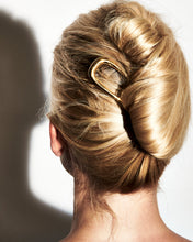 Load image into Gallery viewer, Deborah Pagani: Large DP Pin