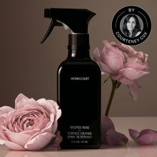 Load image into Gallery viewer, Homecourt: Surface Cleaner