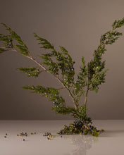 Load image into Gallery viewer, Homecourt: Limited Edition Candle