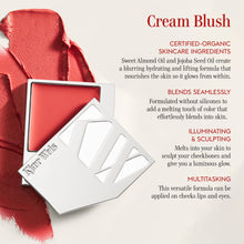 Load image into Gallery viewer, Cream Blush--Blushing
